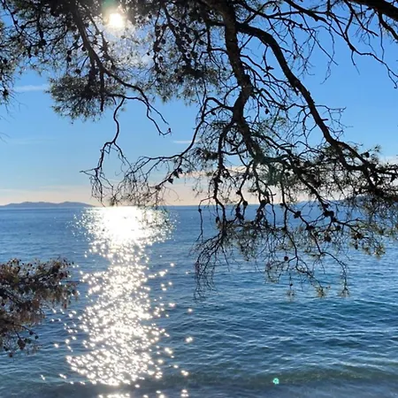 Clair De Lune 别墅 Le Rayol-Canadel-sur-Mer